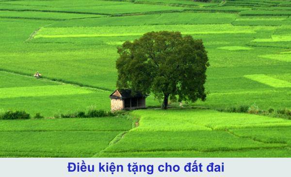 Điều kiện tặng cho đất đai