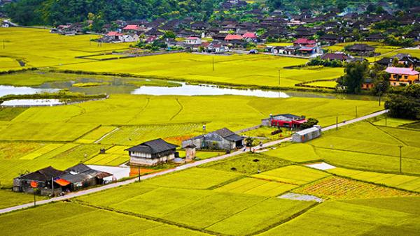 Hướng dẫn thủ tục chuyển đất ruộng đất sang đất ở